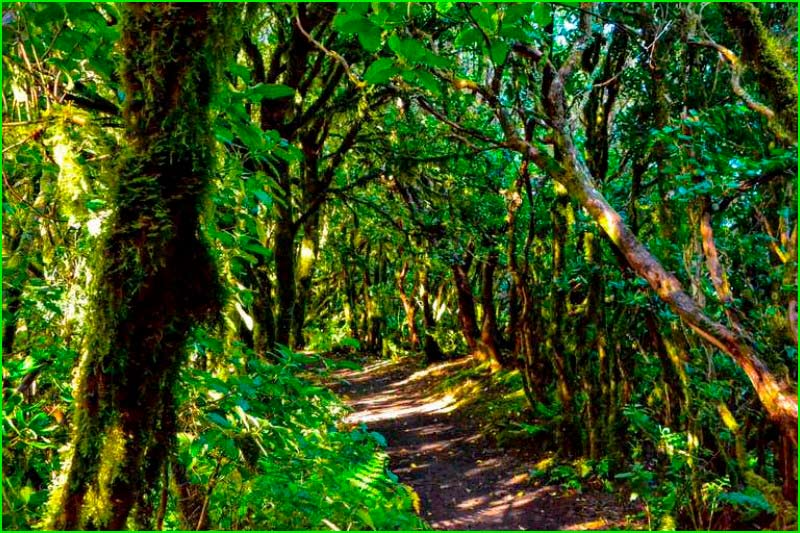 Parque Rural de Anaga en Santa Cruz de Tenerife