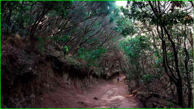 Parque Rural de Anaga en Santa Cruz de Tenerife