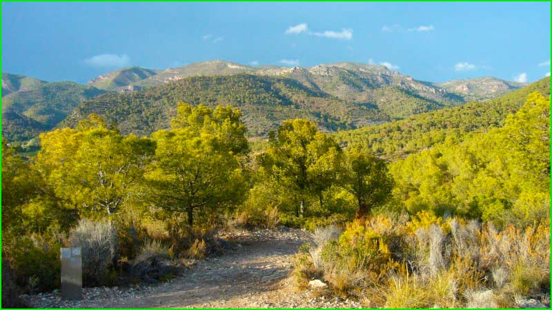 Parque Natural Sierra Calderona en Valencia