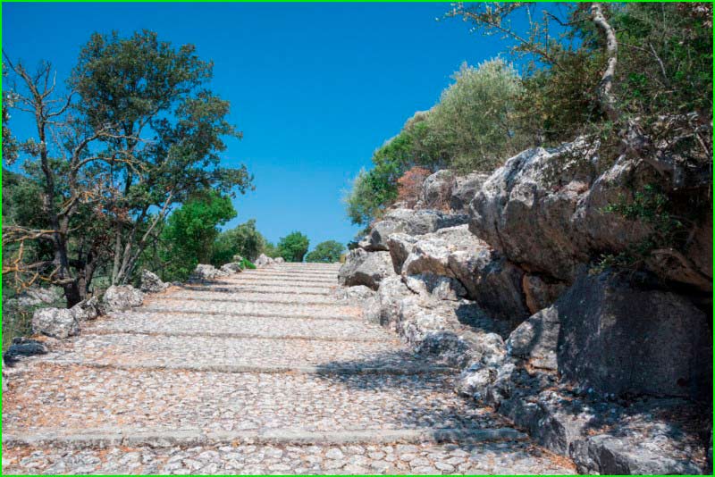 Selva en Baleares