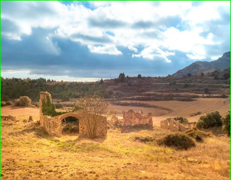 Arbolí en Tarragona