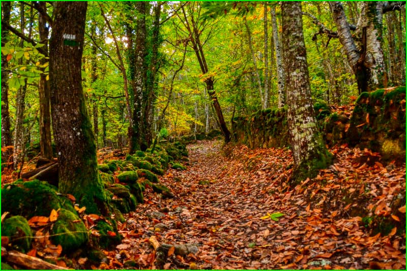 Parque natural de Las Batuecas - Sierra de Francia en Salamanca