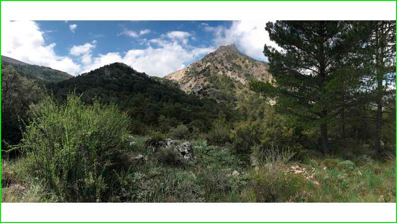 Parque Nacional Sierra Nevada en Granada