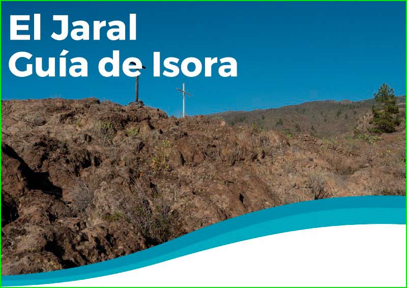 Guía de Isora en Santa Cruz de Tenerife