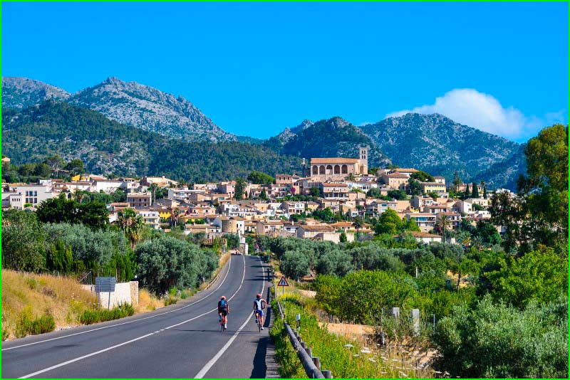 Selva en Baleares