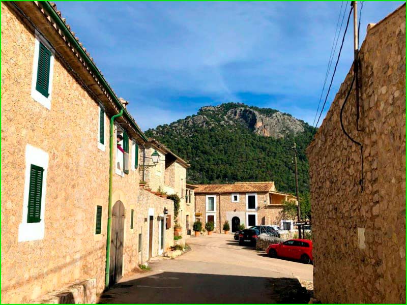 Selva en Baleares