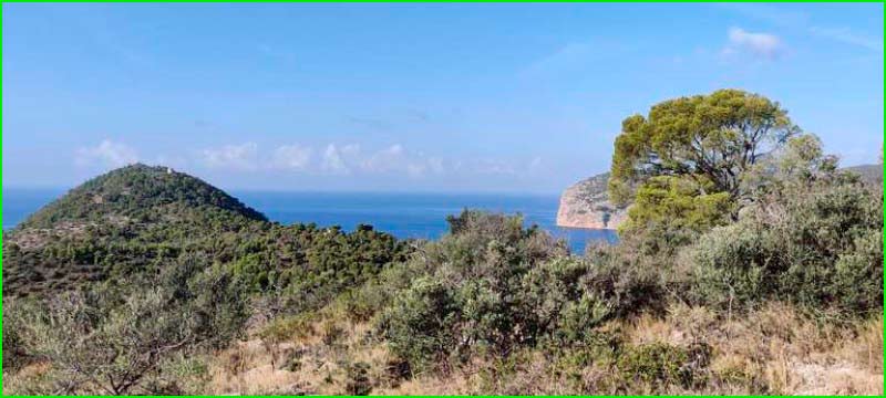 Calvià en Baleares