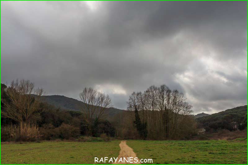 Parc del Montenegre i el Corredor en Barcelona