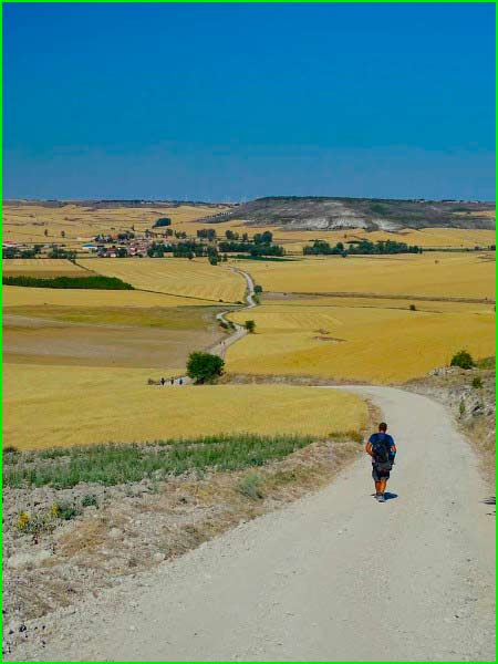 Burgos en Burgos