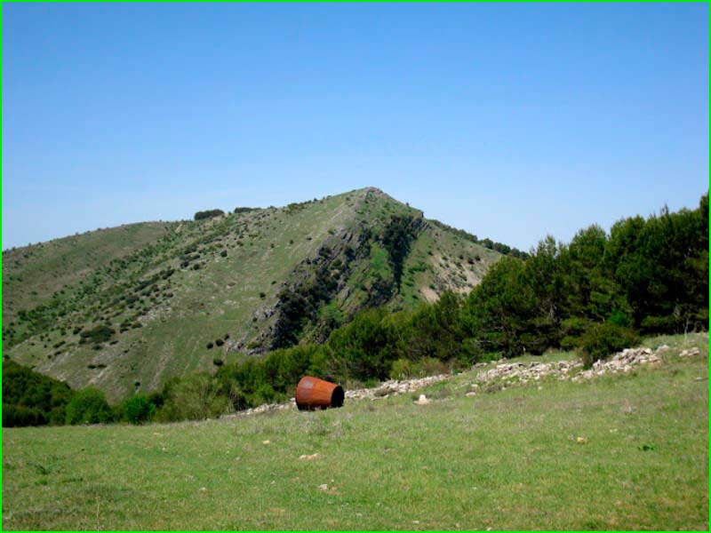 Jamilena en Jaén