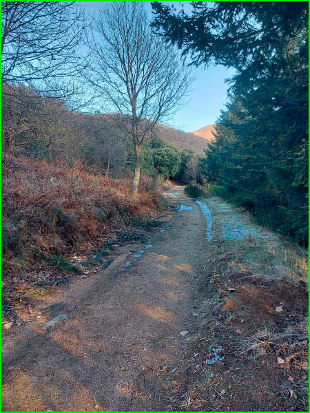 Parc Natural del Montseny en Barcelona