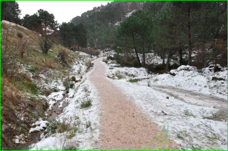 Parque Natural de la Sierra de Grazalema en Cádiz