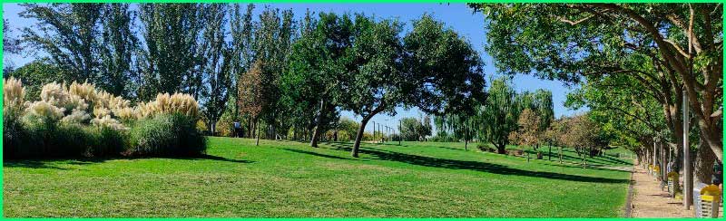 Madrid en Madrid
