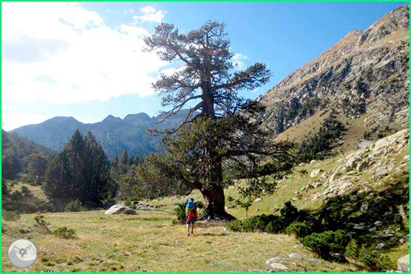 ruta Camino del Llong y del Portarró en Lerida