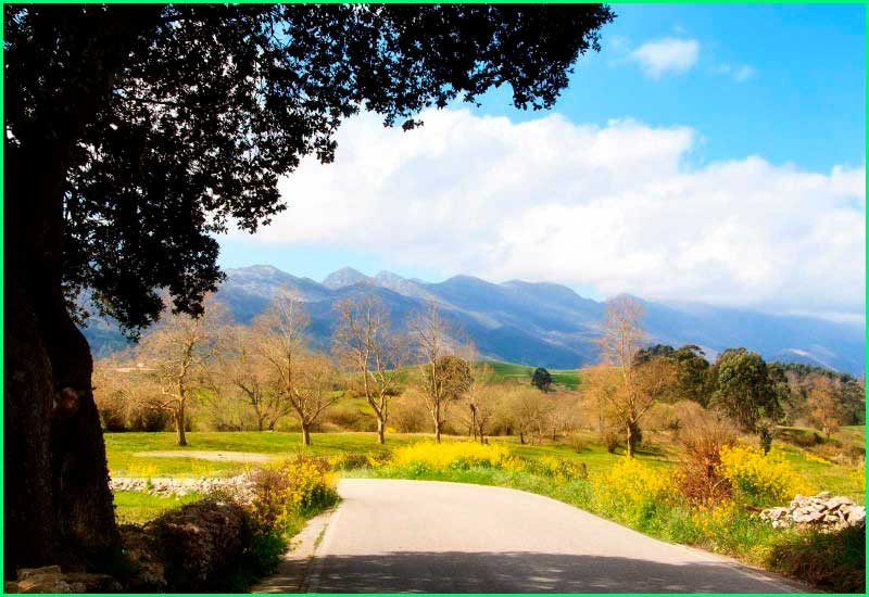 ruta Camino del Norte: Comillas a Colombres en Cantabria