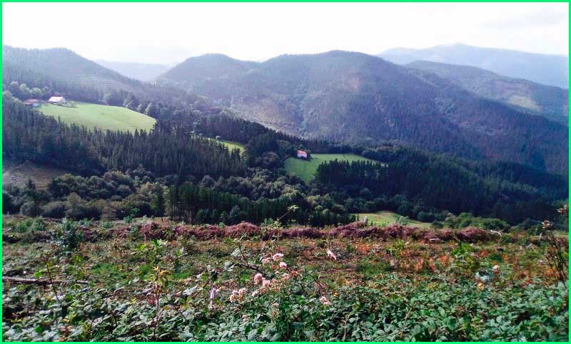 track Camino del Norte: Deba a Markina Xemien en Guipúzcoa
