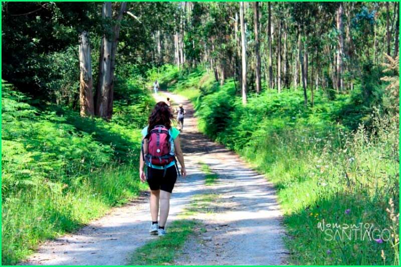 track Camino del Norte: Gijón a Avilés en Asturias