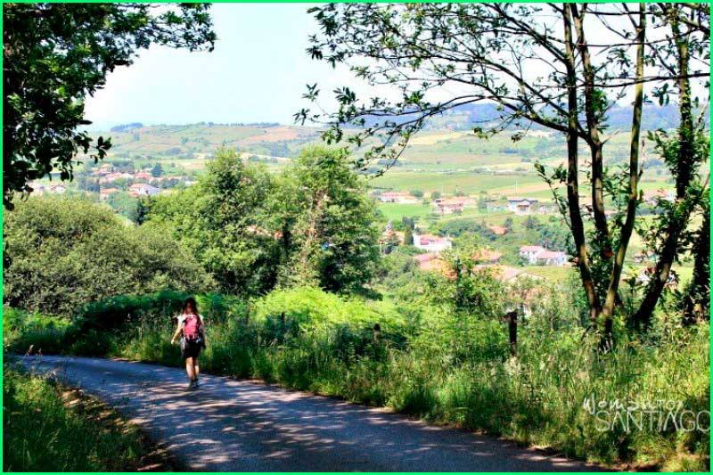 track Camino del Norte: Gijón - Avilés en Asturias