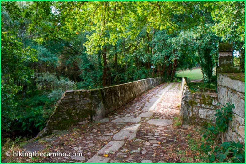 track Camino del Norte: Gontán a Vilalba en Lugo