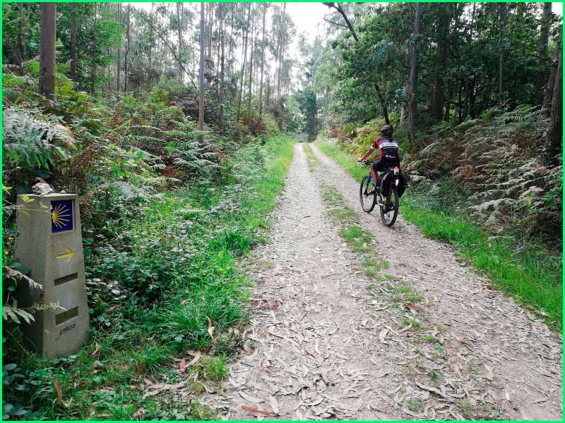 ruta Camino del Norte: Lluarca a Mondoñedo en Asturias