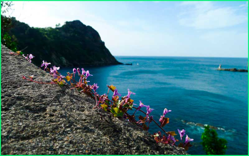 ruta Camino del Norte - Pasaia - San Sebastian en Guipúzcoa