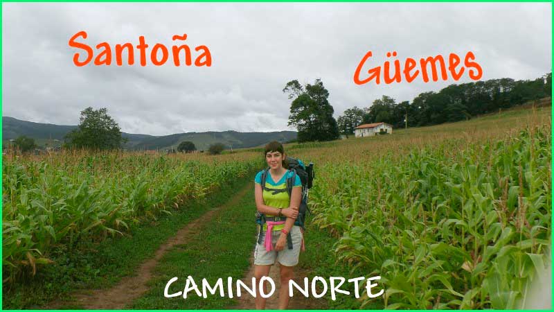Reserva Natural de las Marismas de Santoña y Noja en Cantabria