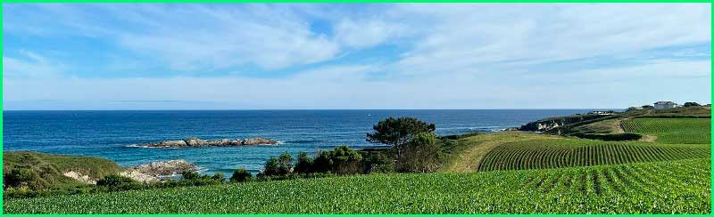 ruta Camino del Norte: Tapia de Casariego - Ribadeo en Asturias