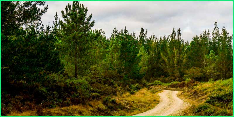 ruta Camino del Norte: Vilanova a Abadín en Lugo