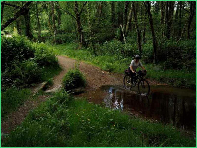 track Camino del Norte: Vilanova a Abadín en Lugo