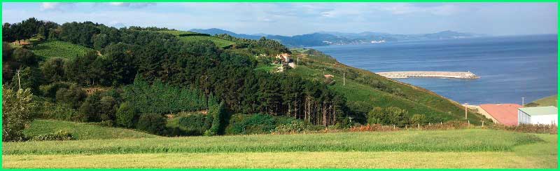track Camino del Norte: Zarautz - Deba en Guipúzcoa
