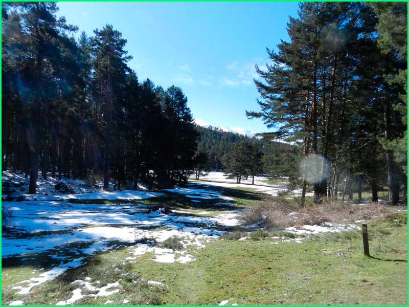 ruta Camino del Pinar de Navahonda en Madrid