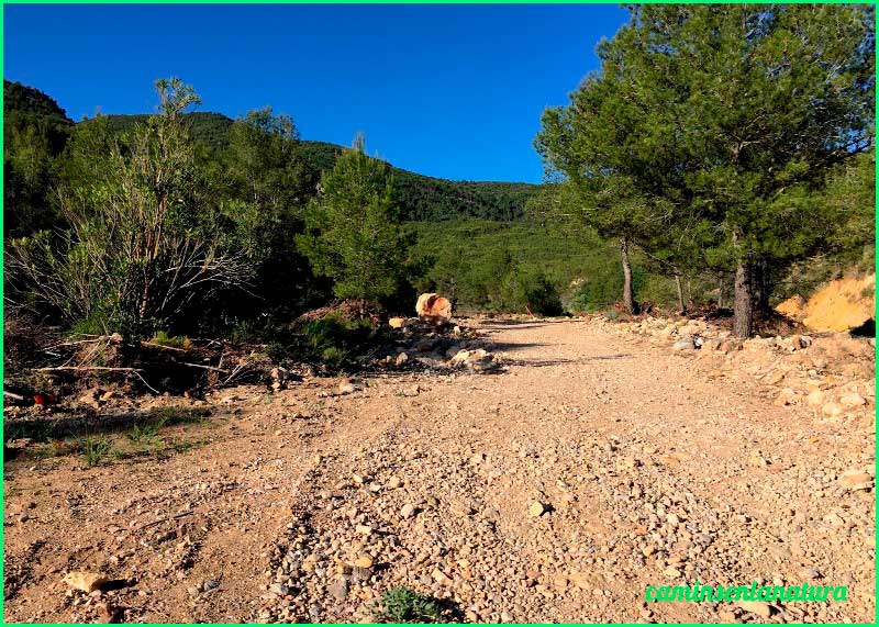 ruta Camino del Pozo Negro - Camino del Mas de la Noguereta en Castellón