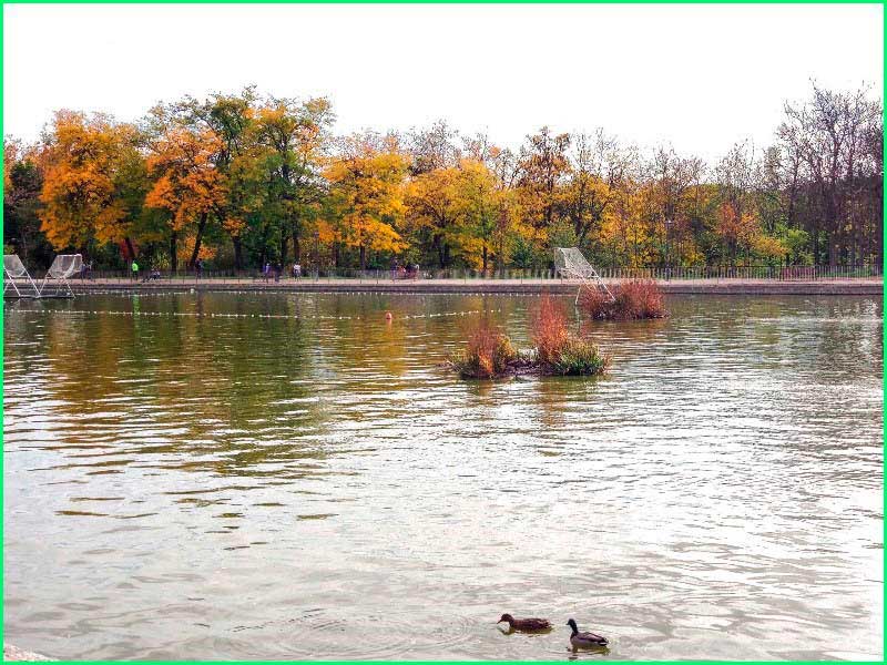 Parque Casa de Campo en Madrid