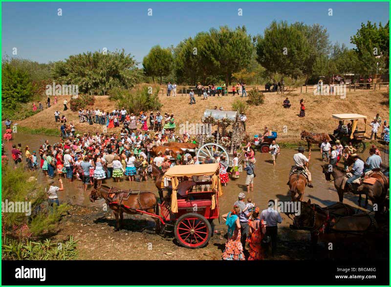 track Camino del Rocío - Villamanrique en Sevilla