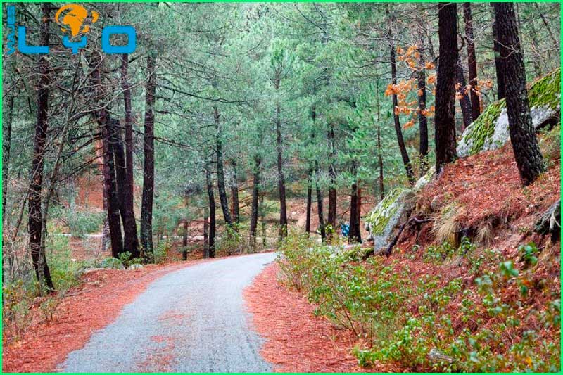 Guadarrama en Madrid