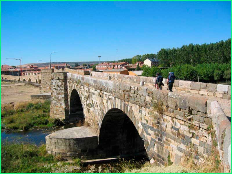 León en León