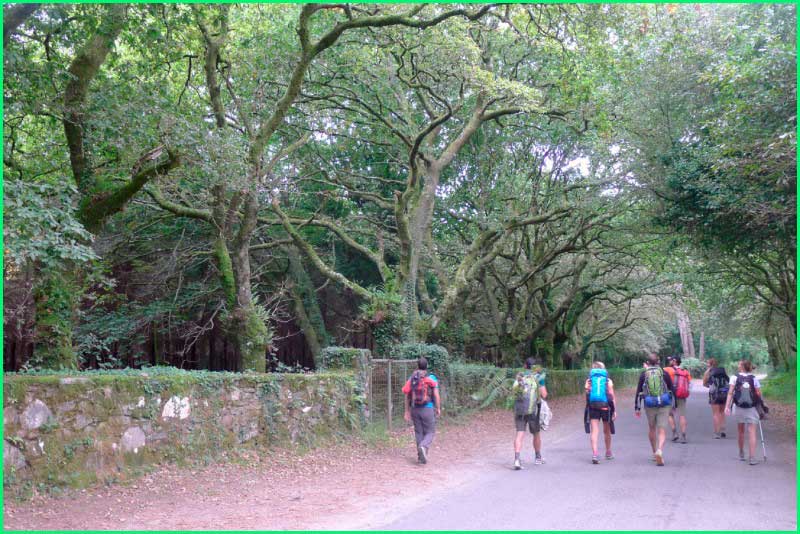 ruta Camino Francés: Arzua - A Salceda en La Coruña