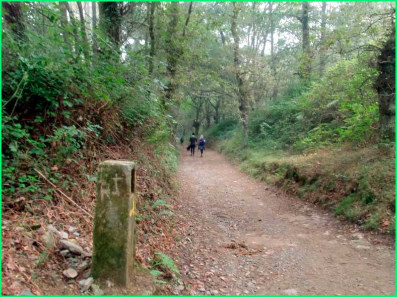Arzúa en La Coruña