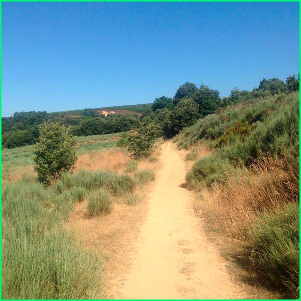 ruta Camino Francés: Astorga - Foncebadón en León