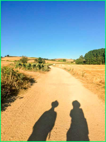 ruta Camino Francés: Belorado - Villafranca Montes de Oca en Burgos