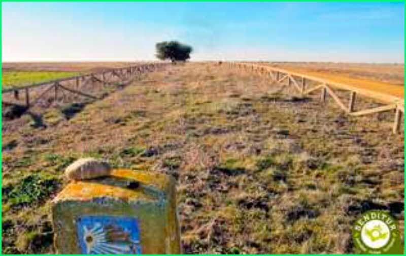 Calzada del Coto en León