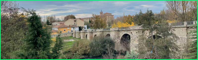 track Camino Francés: Carrión de los Condes - Calzadilla de la Cueza en Palencia