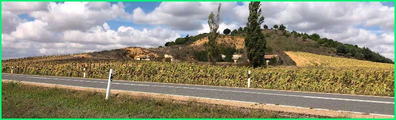 Carrión de los Condes en Palencia