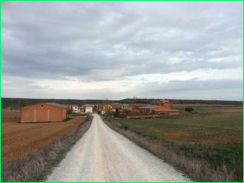 track Camino Francés: Carrión de los Condes - Terradillos de Templarios en Palencia