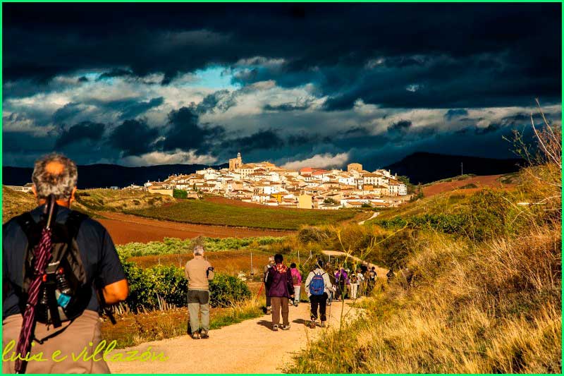 track Camino Francés: Cirauqui - Villamayor de Monjardín en Navarra