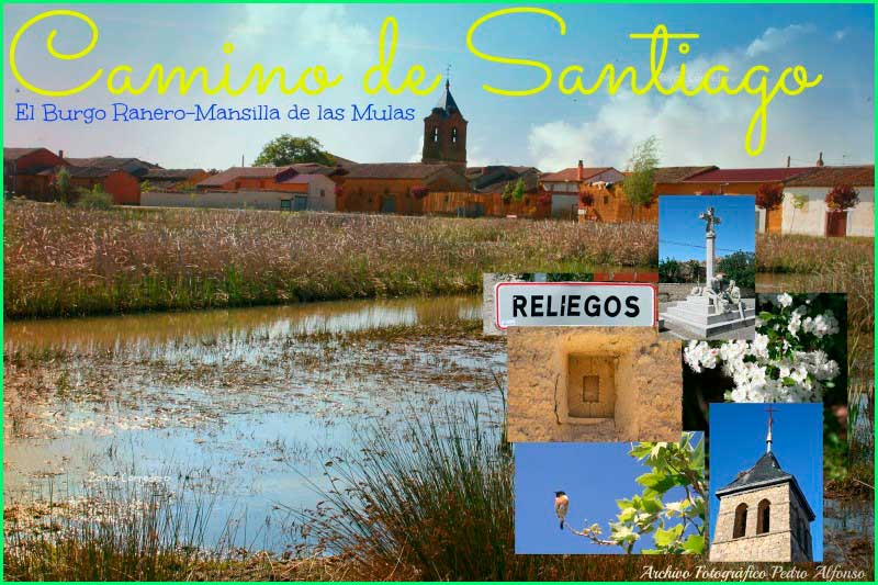 ruta Camino Francés: El Burgo Ranero - Mansilla de las Mulas en León