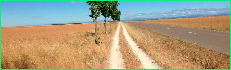 track Camino Francés: El Burgo Ranero - Mansilla de las Mulas en León