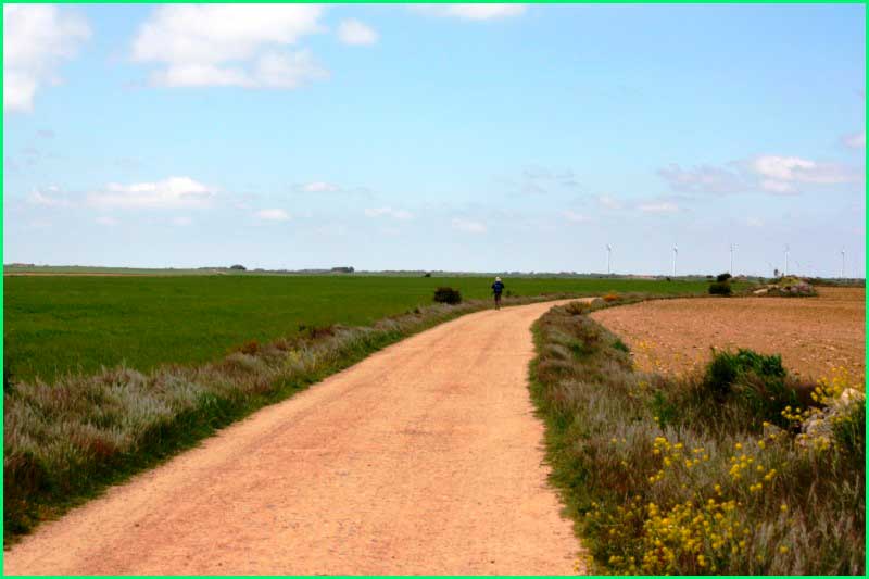 ruta Camino Francés: Hontanas - Boadilla del Camino en Burgos