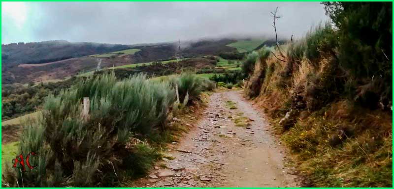 track Camino Francés: Las Herrerias - Fonfria en León