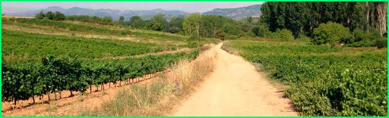 track Camino Francés: Molinaseca - Villafranca del Bierzo en León